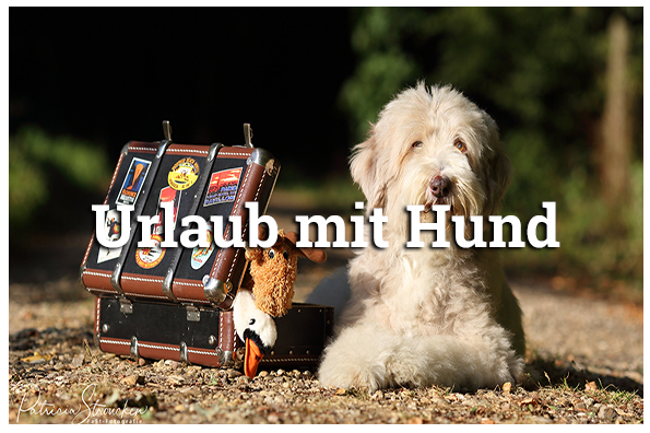 Urlaub mit dem Hund